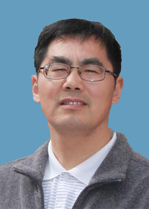 网上调查