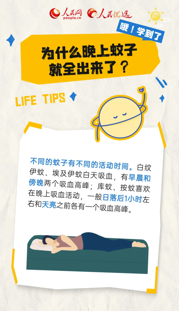 4.webp.png