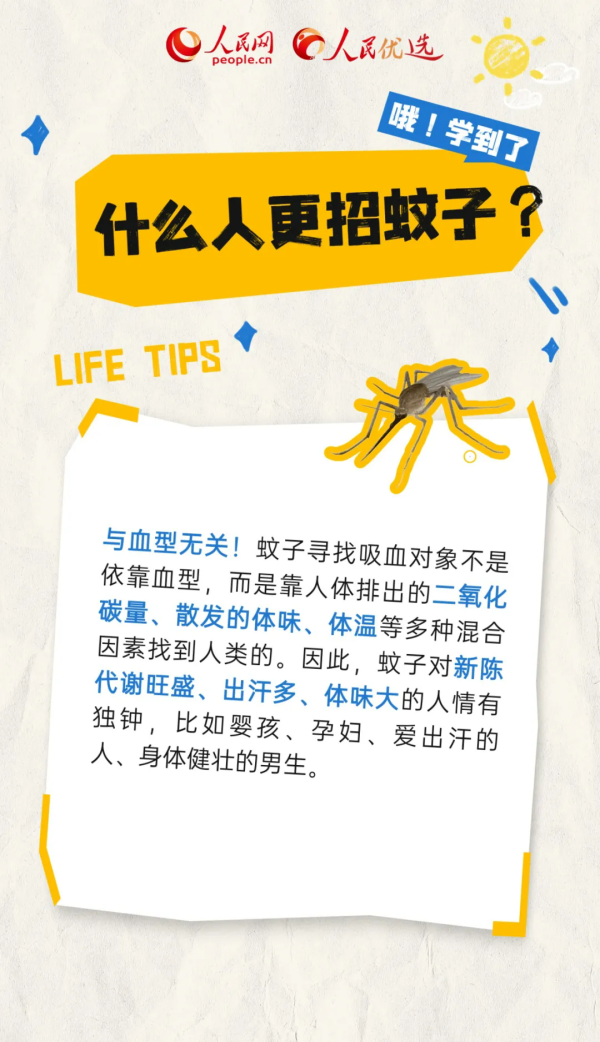 1.webp.png