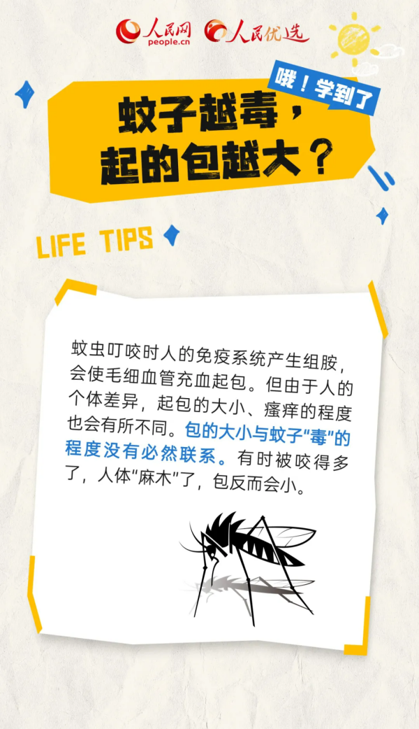 2.webp.png